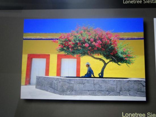 la galería de fotografía Tomas Spangler